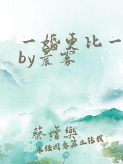 一婚更比一婚高by晨雾