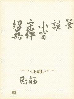 绍宋小说笔趣阁无弹窗