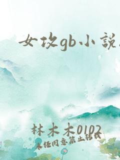 女攻gb小说h