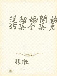 从结婚开始恋爱35集全集免费