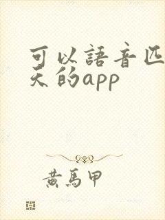 可以语音匹配聊天的app