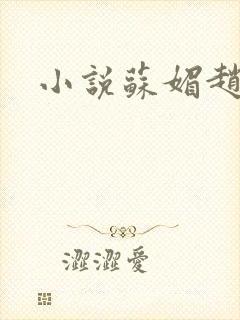 小说苏媚赵大宝