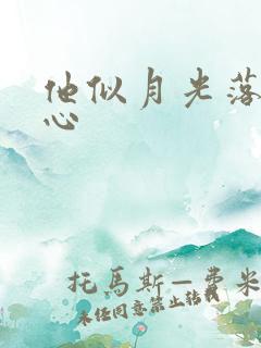 他似月光落入我心