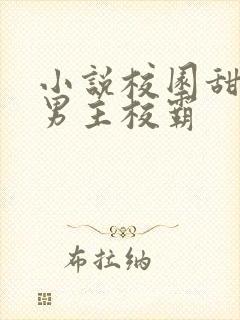 小说校园甜宠文男主校霸