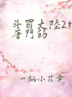 斗罗大陆2绝世唐门的