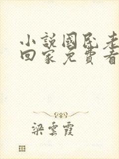 小说国民老公带回家免费看