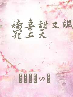 娇妻甜又飒大叔宠上天