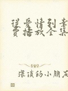 从爱情到幸福免费播放全集高清版电视剧