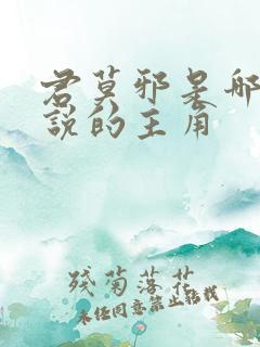 君莫邪是哪部小说的主角