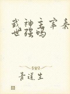 武神主宰秦尘前世强吗