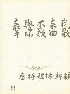 来与不来我都在等你歌曲歌词