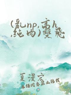 (乱np,高h,纯肉)双飞
