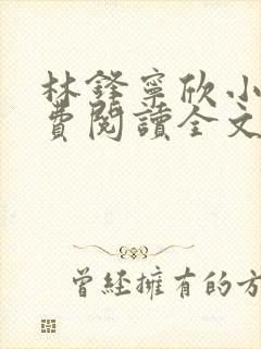 林锋宁欣小说免费阅读全文