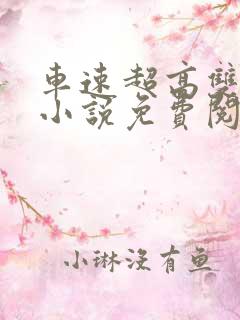 车速超高双男主小说免费阅读