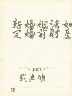 新婚姻法如何界定婚前财产