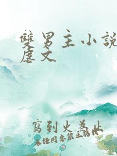 双男主小说推荐虐文