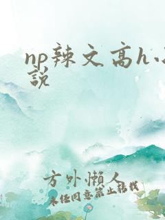 np辣文高h小说