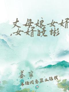 丈母娘女婿小说,女婿晓彬