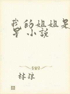 我的姐姐是大明星 小说