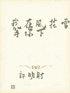 我在风花雪月里等你下