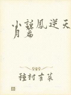 小说凤逆天下北月篇