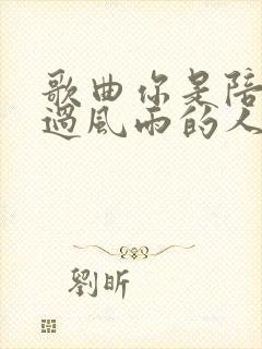 歌曲你是陪我走过风雨的人歌词