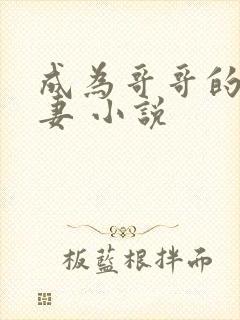 成为哥哥的未婚妻 小说