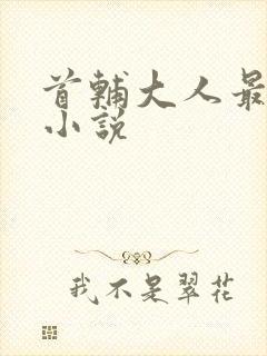 首辅大人最宠妻小说