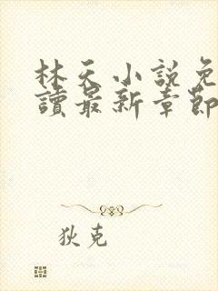 林天小说免费阅读最新章节