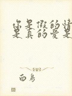 你是假的情,我是真的爱是什么歌名