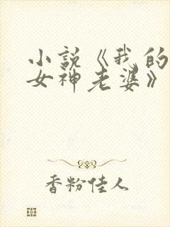 小说《我的绝美女神老婆》