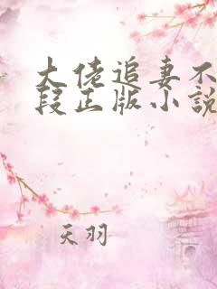 大佬追妻不择手段正版小说