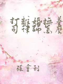 打离婚抚养权官司律师怎么收费