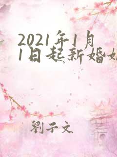 2021年1月1日起新婚姻法对小三