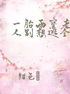 一胎两宝老婆大人别想逃全文免费阅读全文