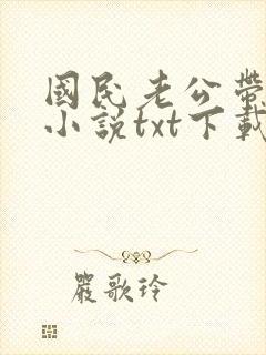 国民老公带回家小说txt下载