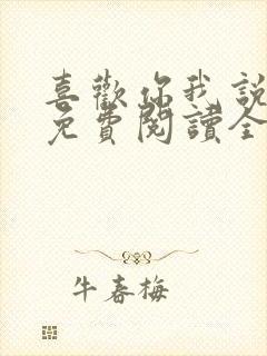 喜欢你我说了算免费阅读全文