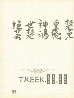 绝世神皇楚风楚芸楚鸿飞免费阅读