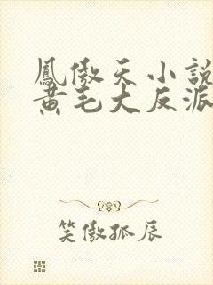 凤傲天小说里的黄毛大反派也想要幸福