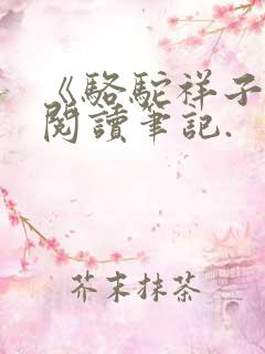 《骆驼祥子》的阅读笔记.