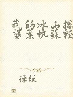 我的冰山总裁老婆叶帆苏轻雪