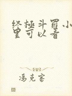 终极斗罗小说哪里可以看