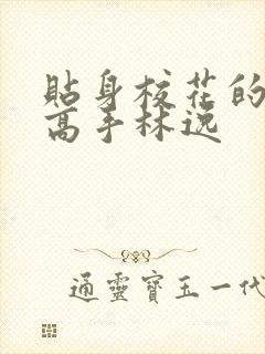 贴身校花的贴身高手林逸