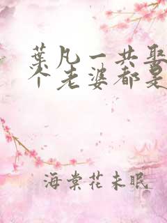 叶凡一共娶了几个老婆都是谁