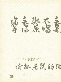 你来与不来我都等你原唱是谁