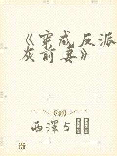 《穿成反派的炮灰前妻》