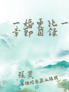 一婚更比一婚高章节目录