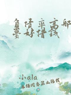 负债率高哪个平台好借钱