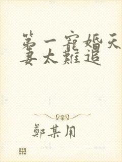 第一宠婚天价萌妻太难追