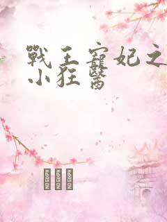 战王宠妃之倾世小狂医